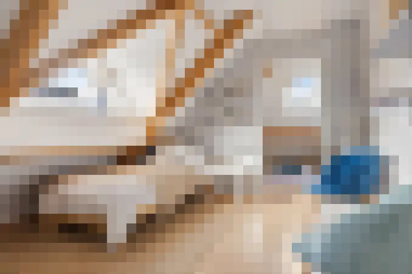 Koekoeksbloem 5 Hardenberg thumbnail 35