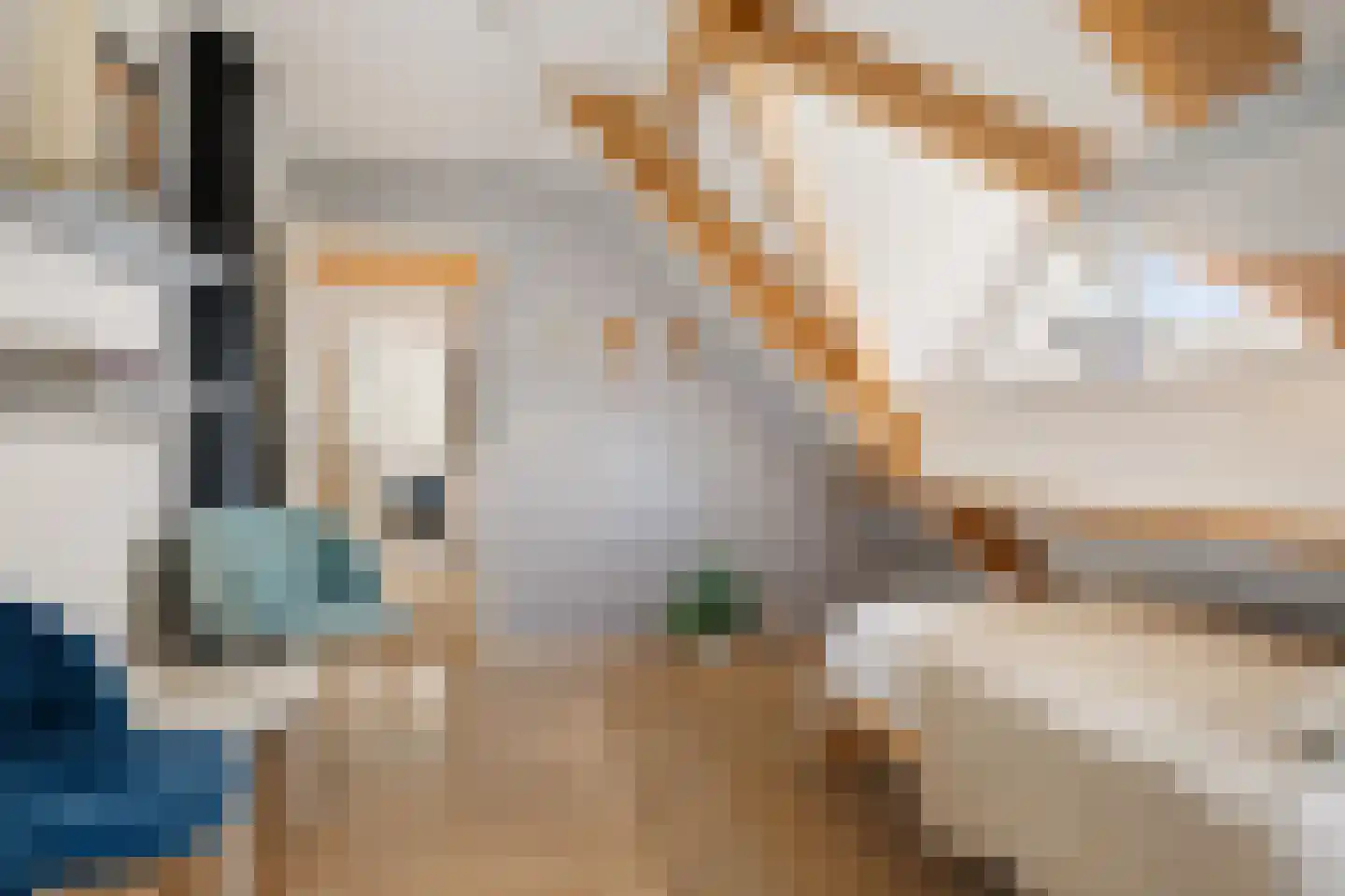 Koekoeksbloem 5 Hardenberg thumbnail 38