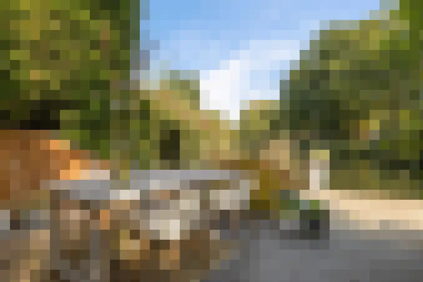 Koekoeksbloem 5 Hardenberg thumbnail 4