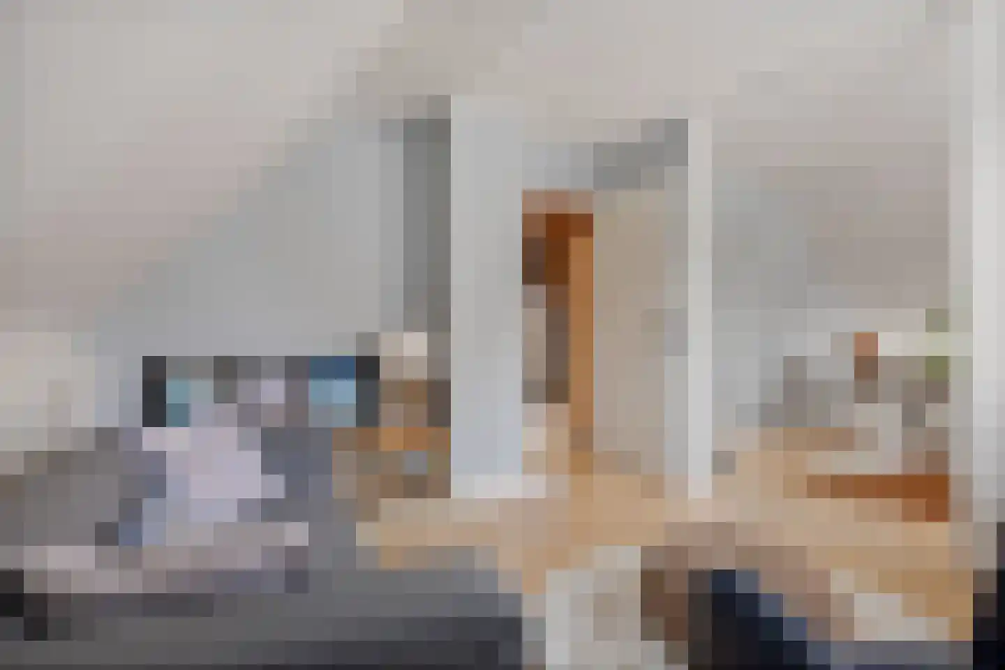 Koekoeksbloem 5 Hardenberg thumbnail 40