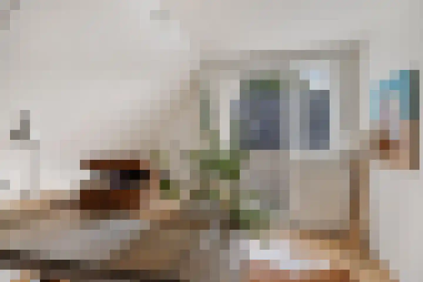 Koekoeksbloem 5 Hardenberg thumbnail 43