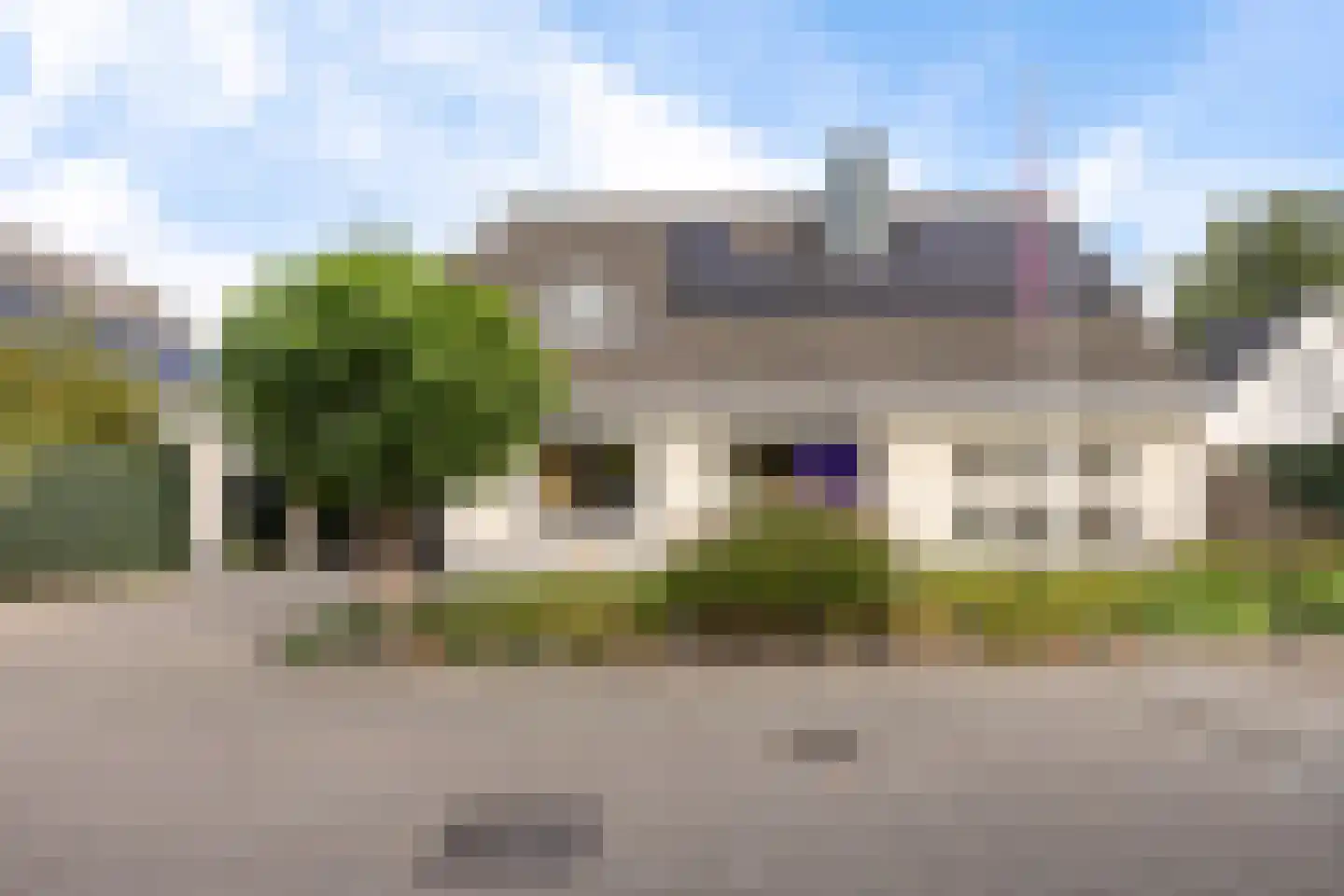 Koekoeksbloem 5 Hardenberg thumbnail 5