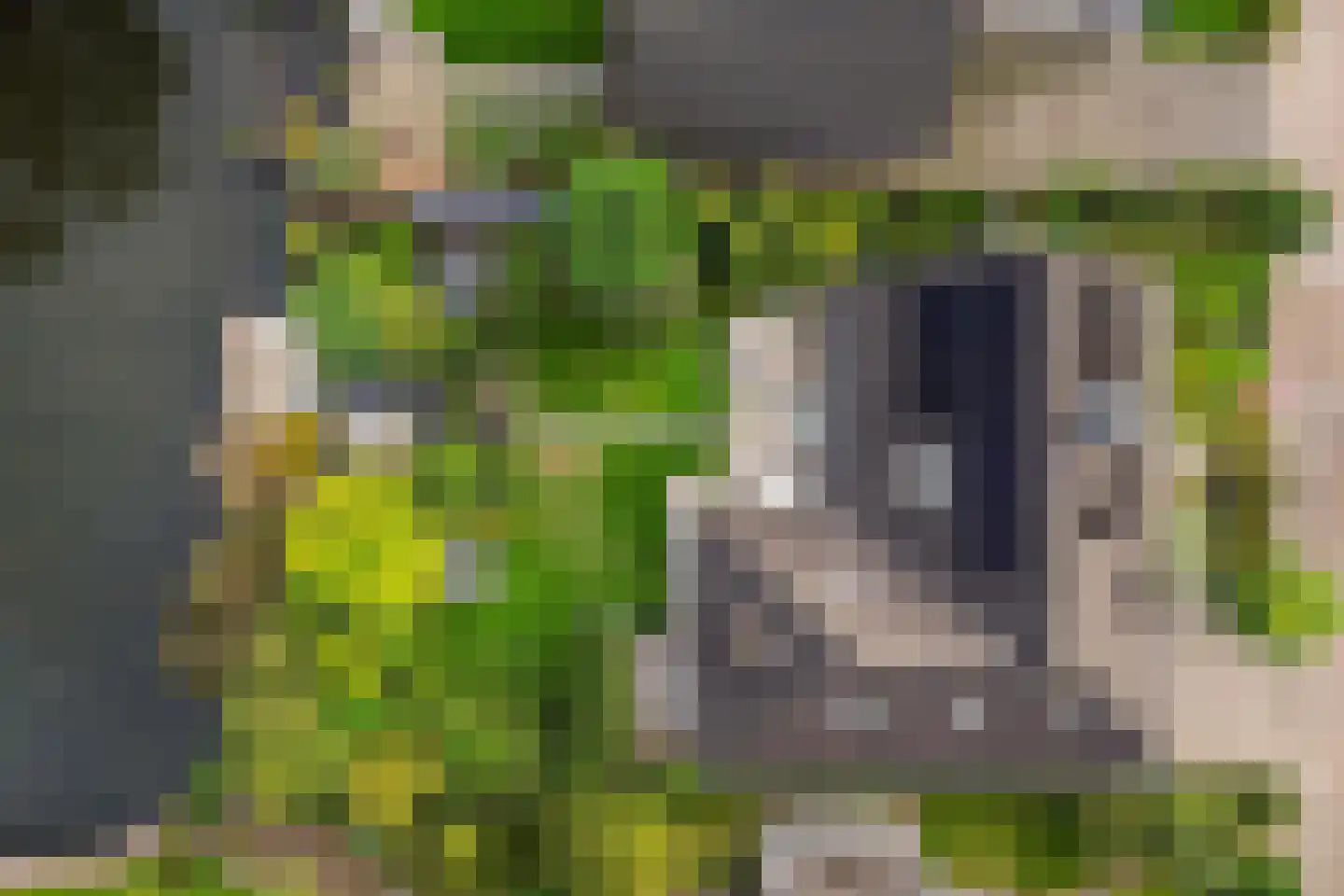Koekoeksbloem 5 Hardenberg thumbnail 53