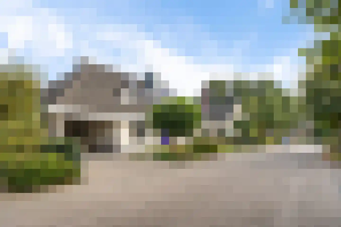 Koekoeksbloem 5 Hardenberg thumbnail 55