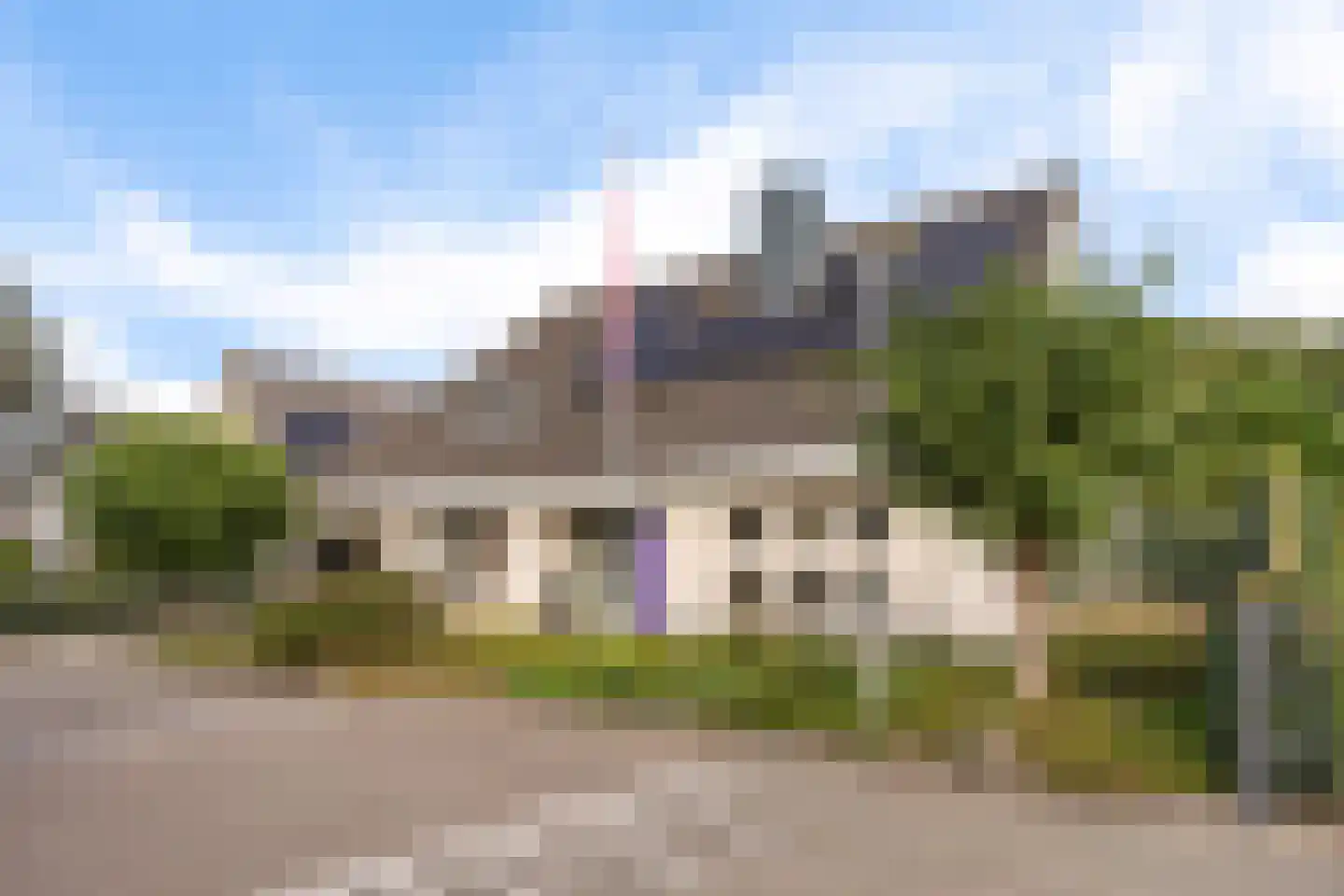 Koekoeksbloem 5 Hardenberg thumbnail 56