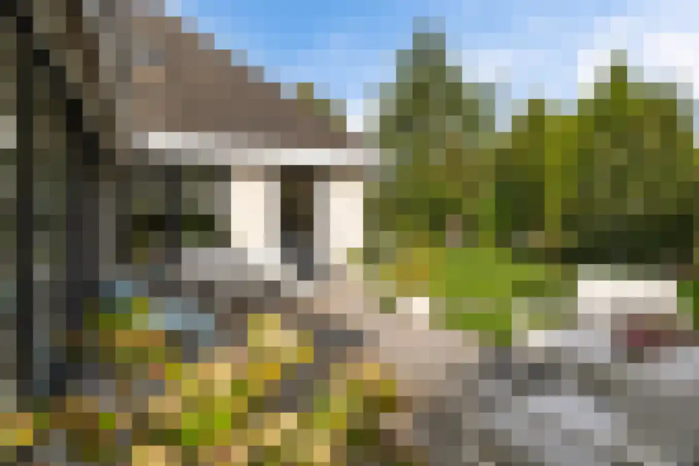 Koekoeksbloem 5 Hardenberg thumbnail 57