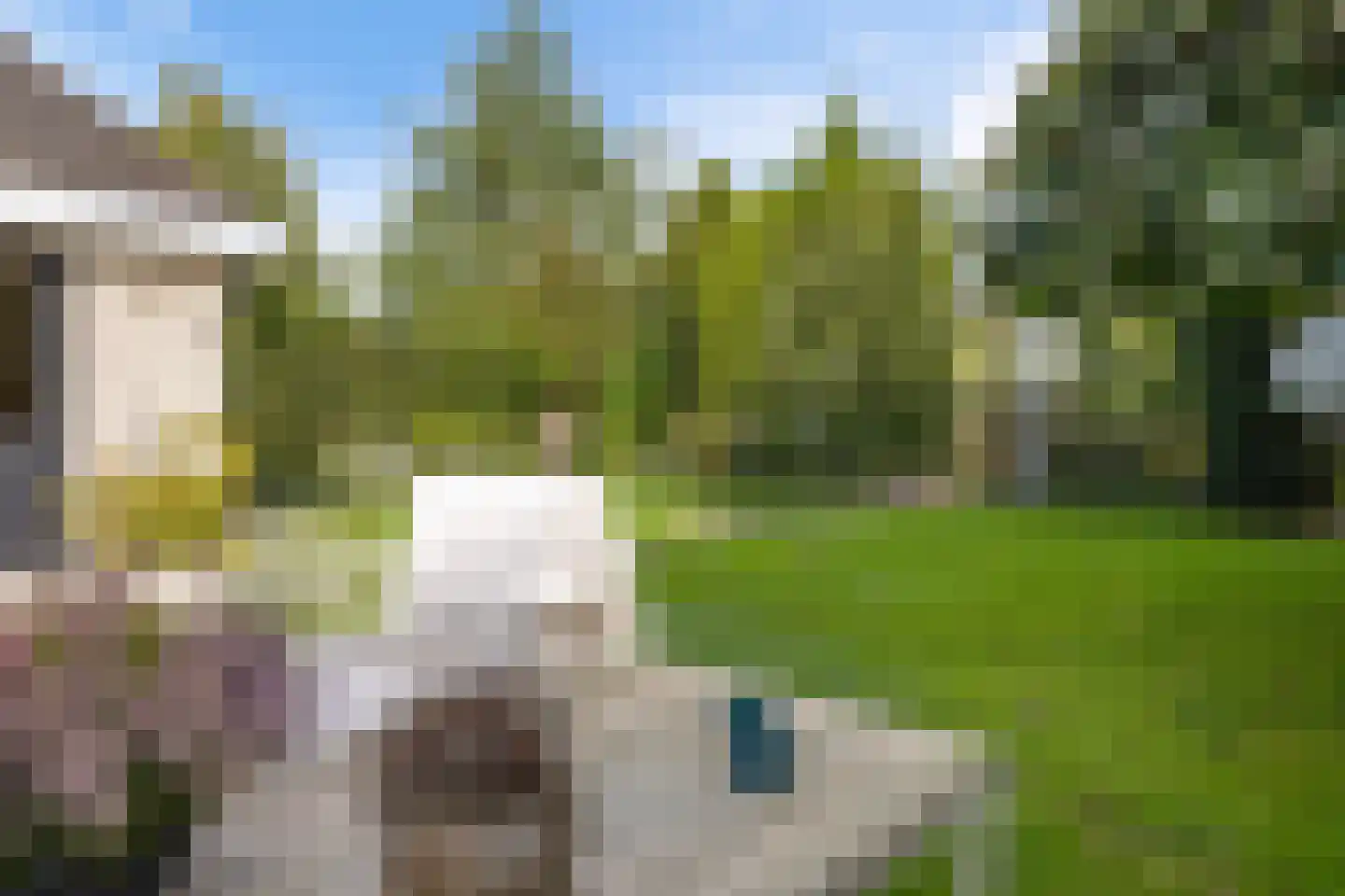 Koekoeksbloem 5 Hardenberg thumbnail 60