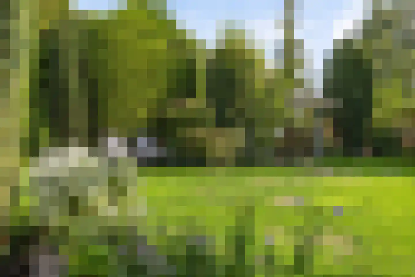 Koekoeksbloem 5 Hardenberg thumbnail 61