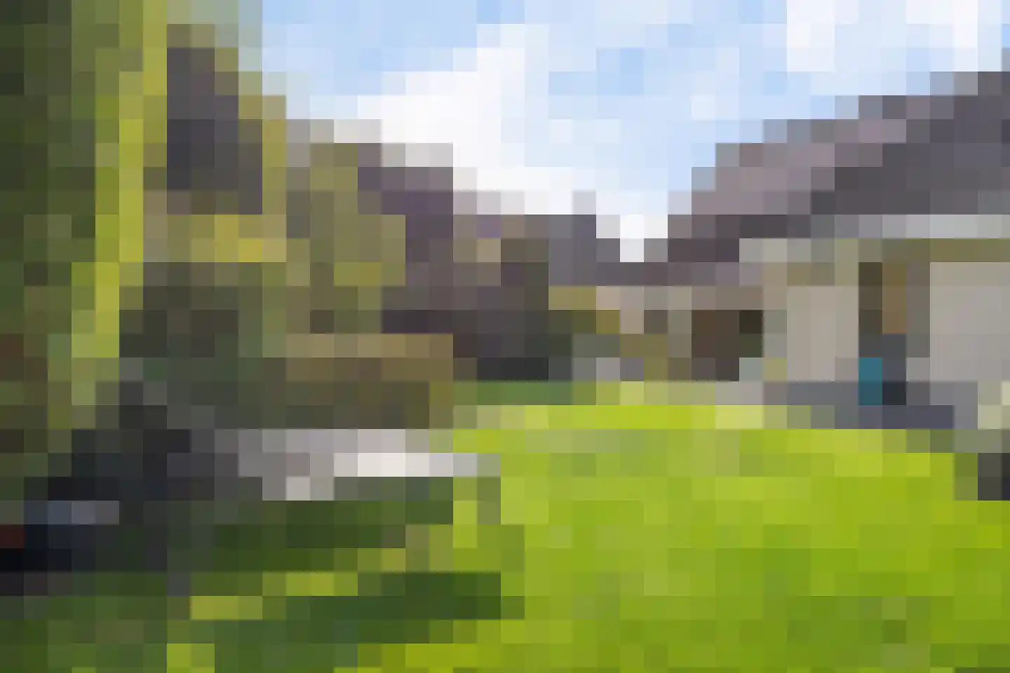 Koekoeksbloem 5 Hardenberg thumbnail 62