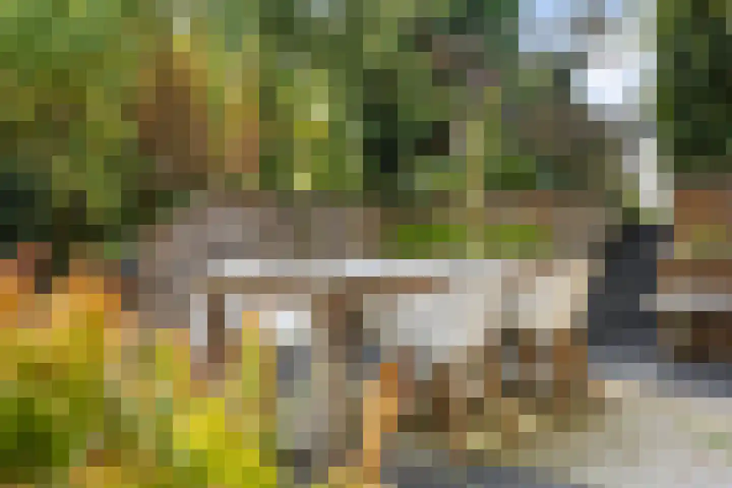 Koekoeksbloem 5 Hardenberg thumbnail 64