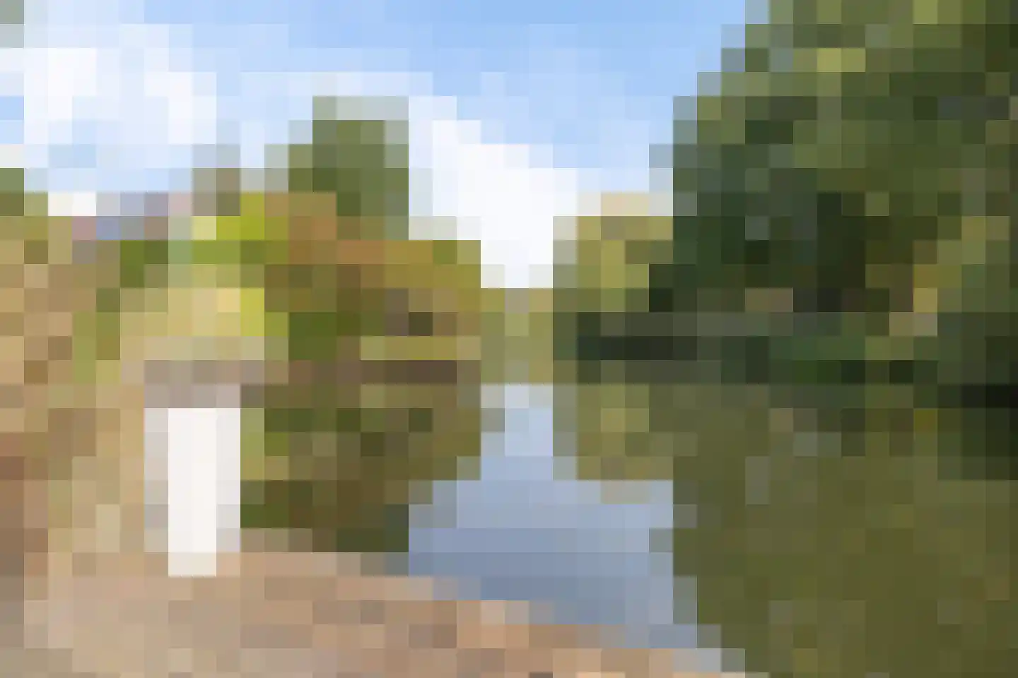 Koekoeksbloem 5 Hardenberg thumbnail 65
