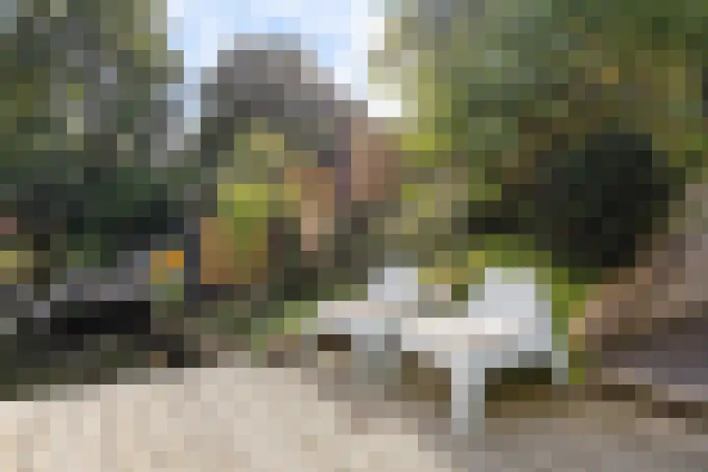 Koekoeksbloem 5 Hardenberg thumbnail 66