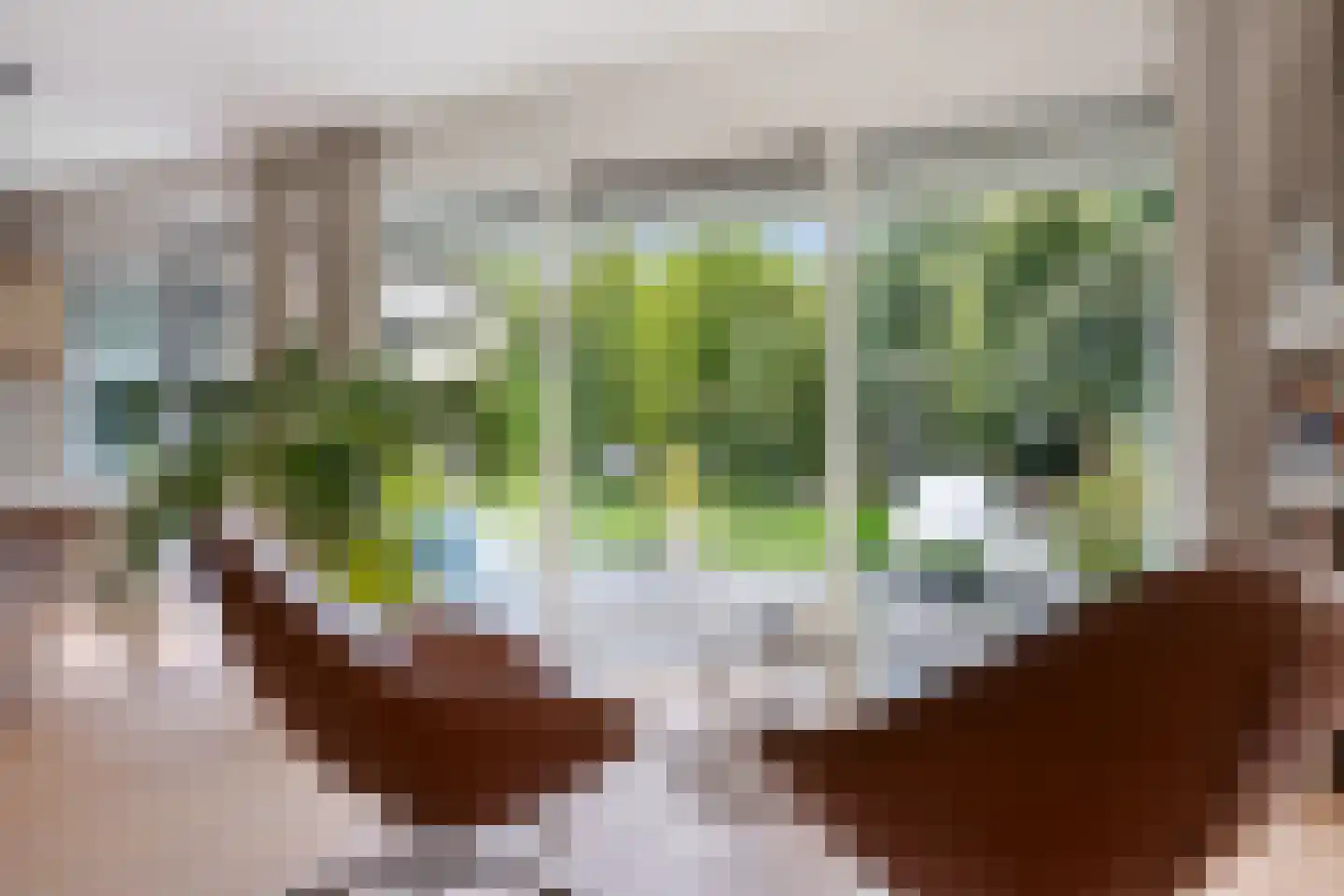 Koekoeksbloem 5 Hardenberg thumbnail 7
