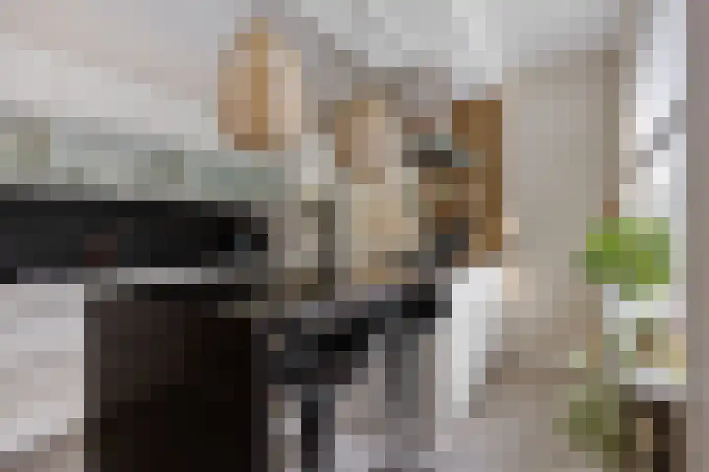 Koekoeksbloem 5 Hardenberg thumbnail 9