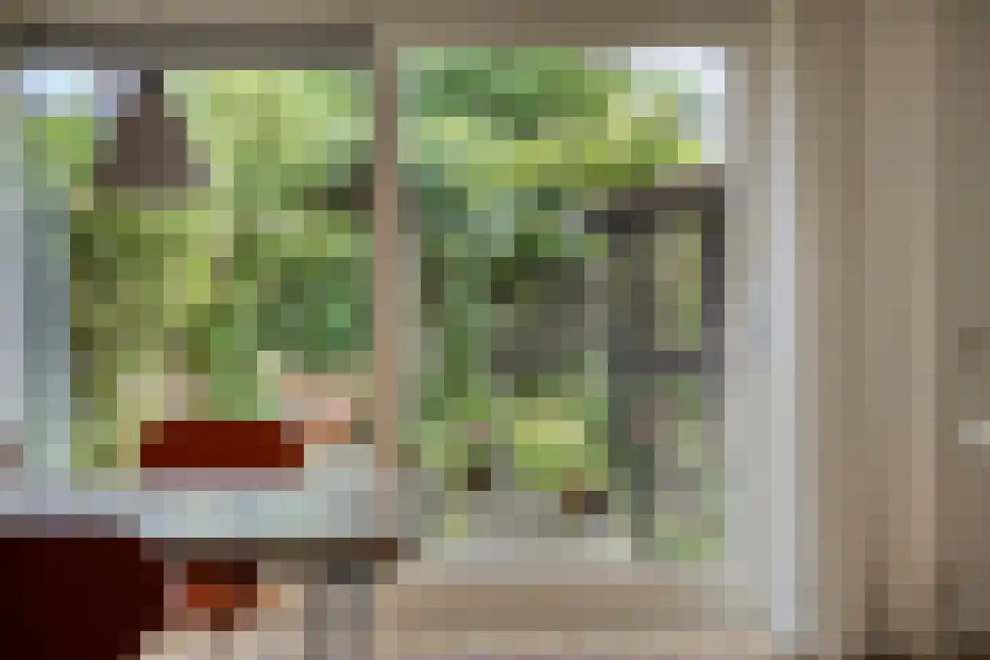 Koekoeksbloem 5 Zuidhorn thumbnail 13