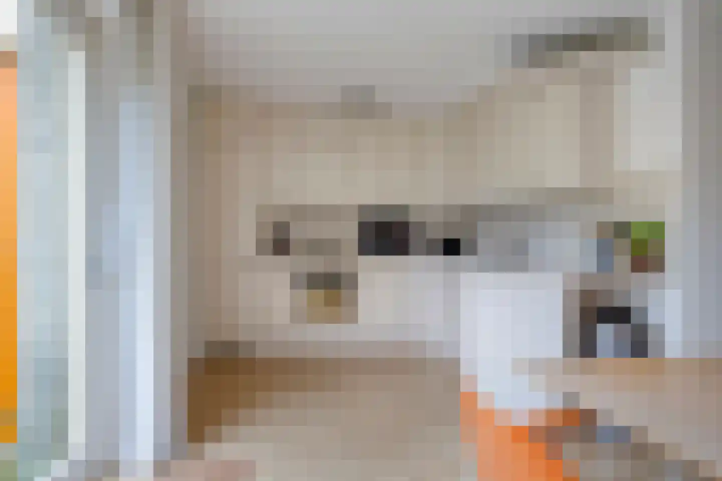 Koekoeksbloem 5 Zuidhorn thumbnail 16