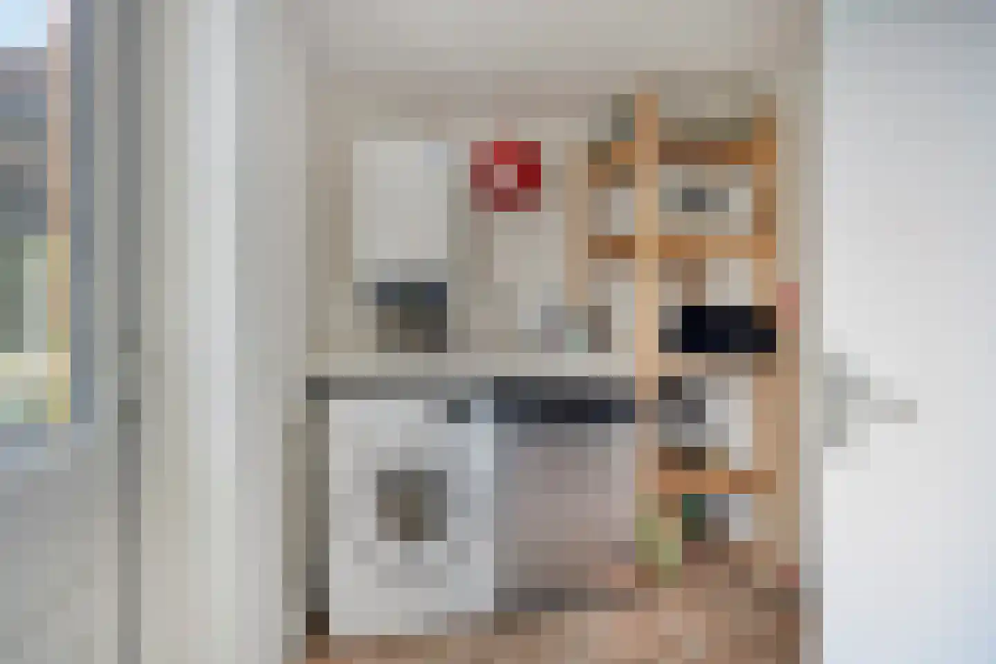 Koekoeksbloem 5 Zuidhorn thumbnail 18