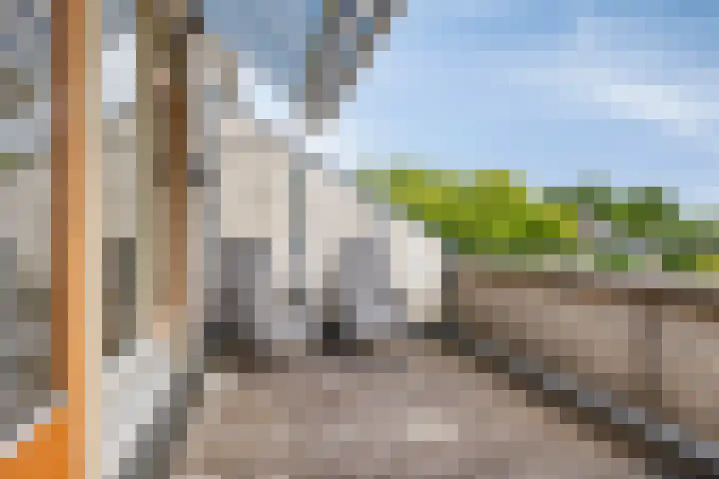 Koekoeksbloem 5 Zuidhorn thumbnail 33