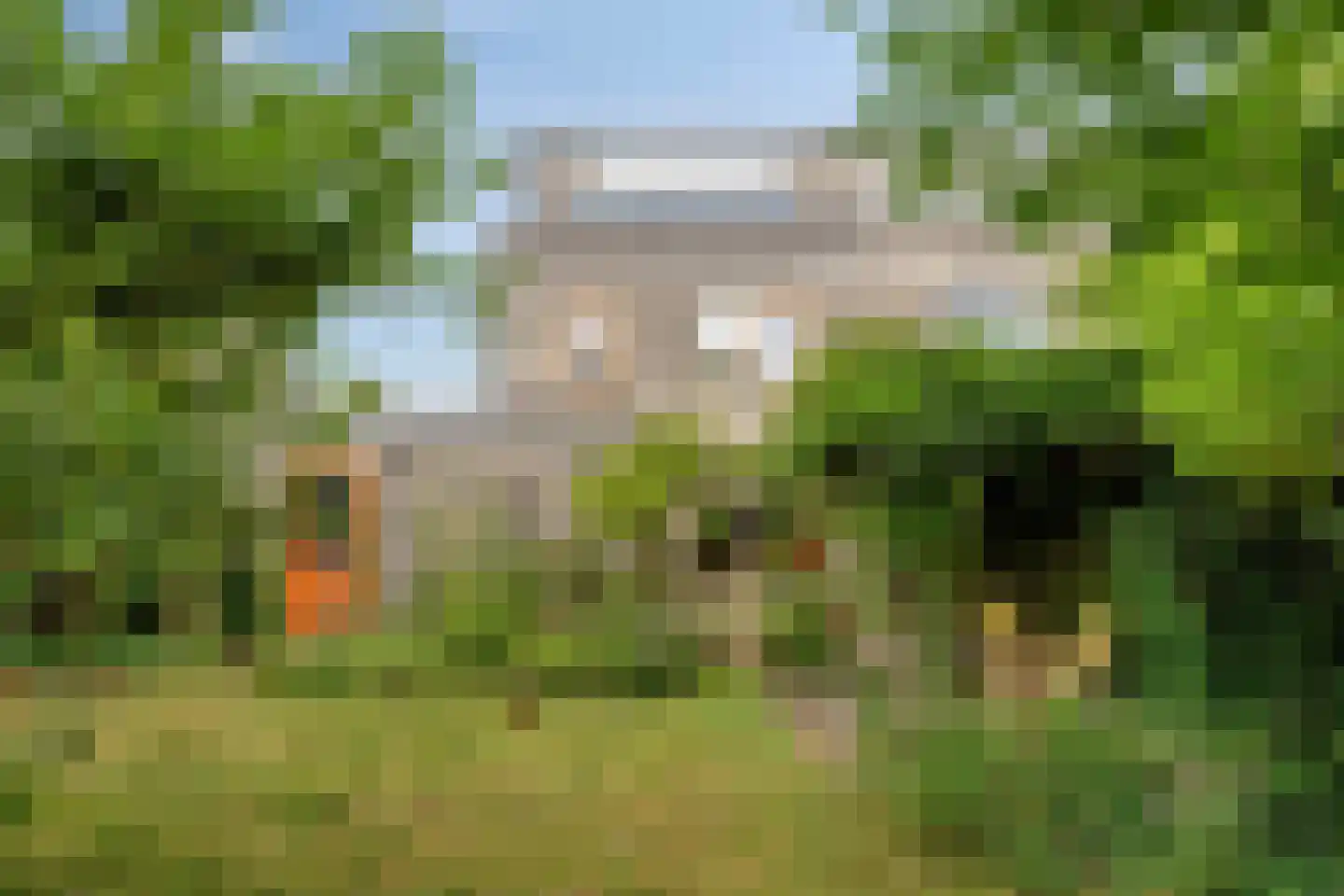 Koekoeksbloem 5 Zuidhorn thumbnail 36