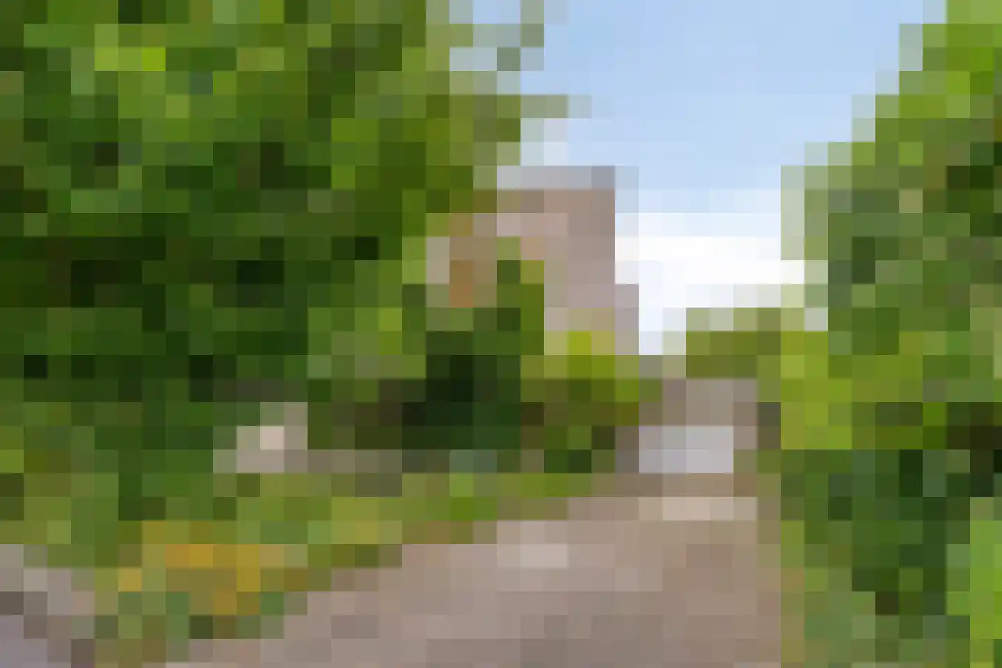 Koekoeksbloem 5 Zuidhorn thumbnail 4
