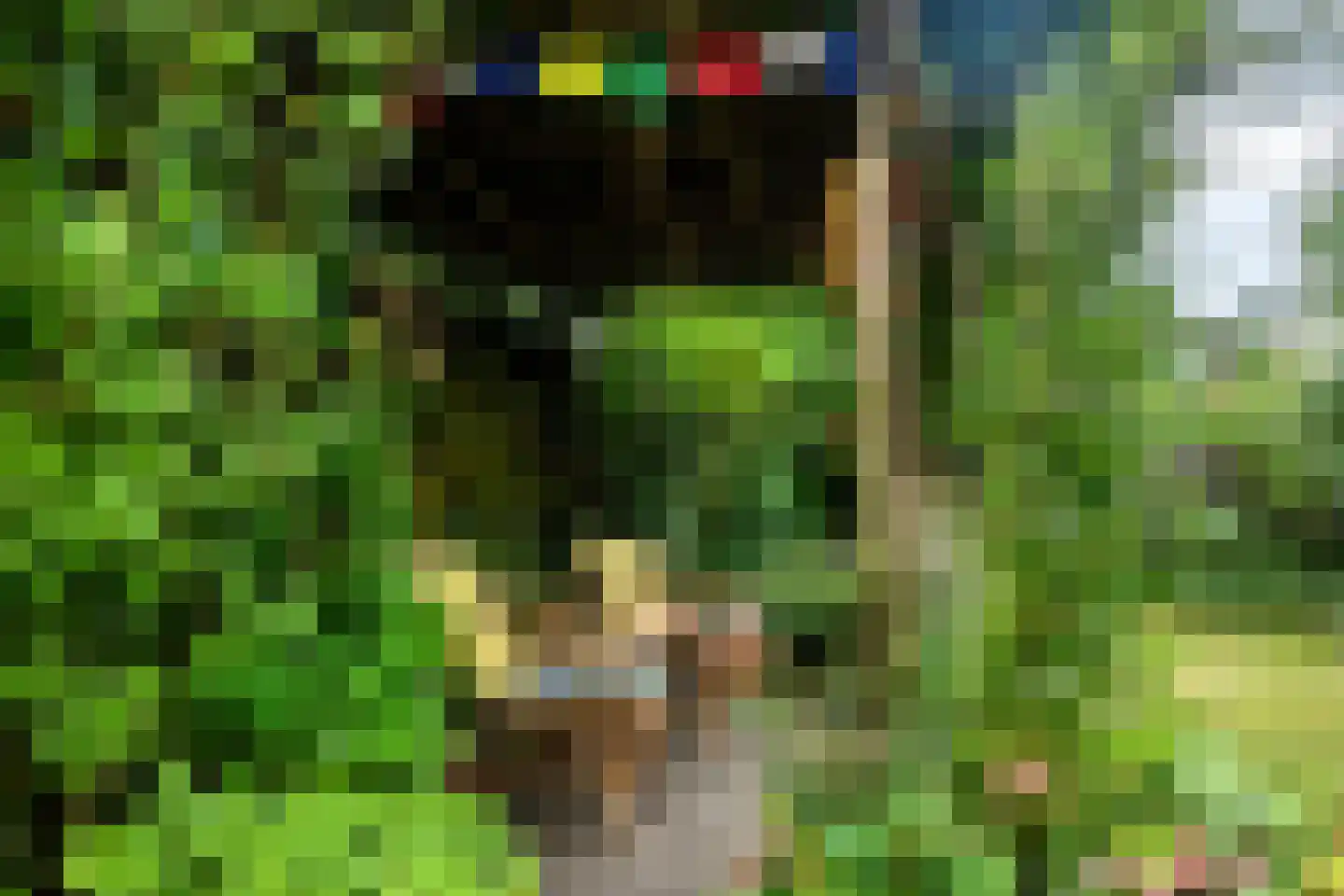 Koekoeksbloem 5 Zuidhorn thumbnail 40