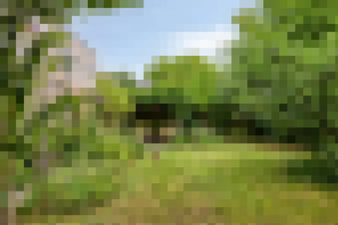 Koekoeksbloem 5 Zuidhorn thumbnail 42