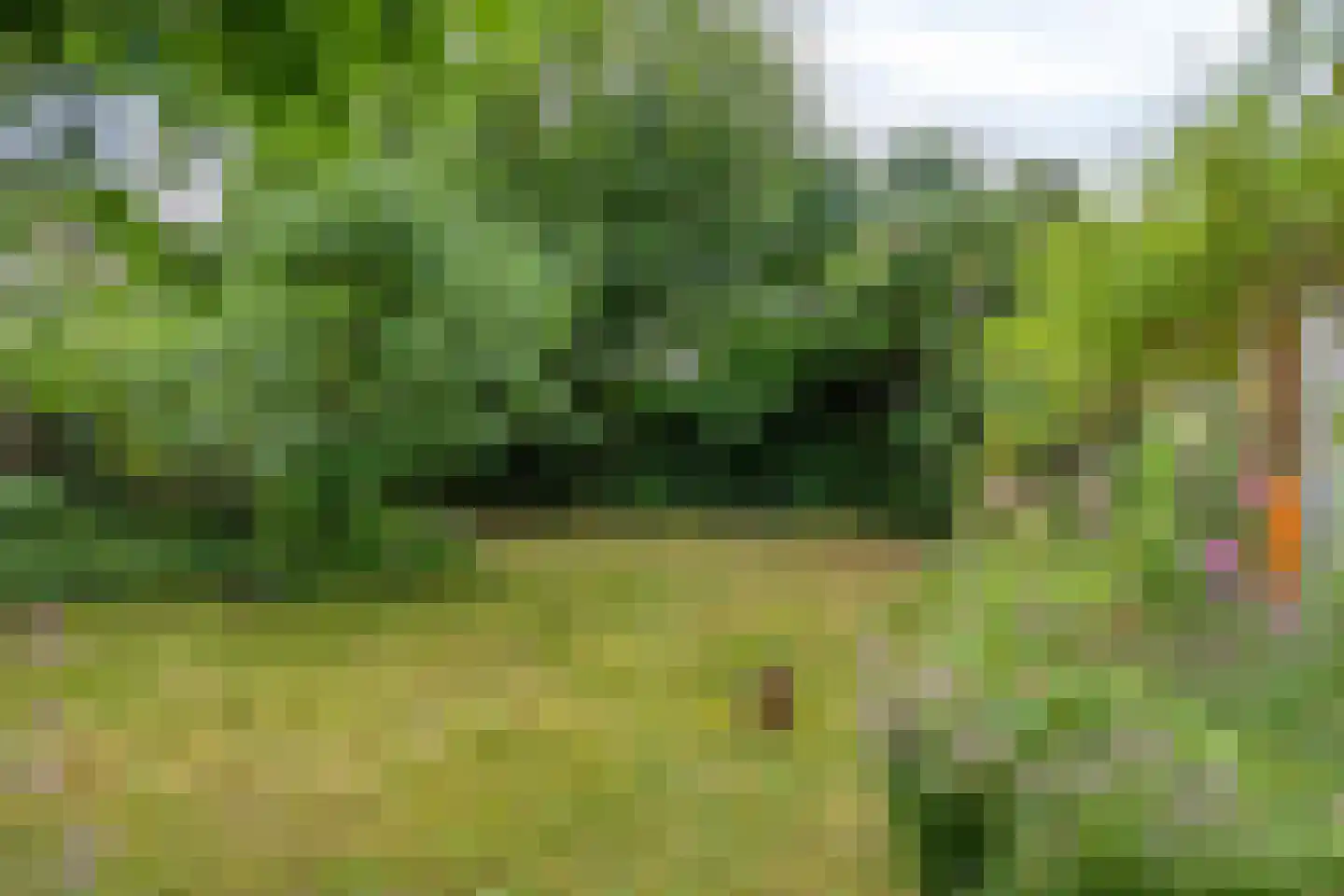 Koekoeksbloem 5 Zuidhorn thumbnail 43