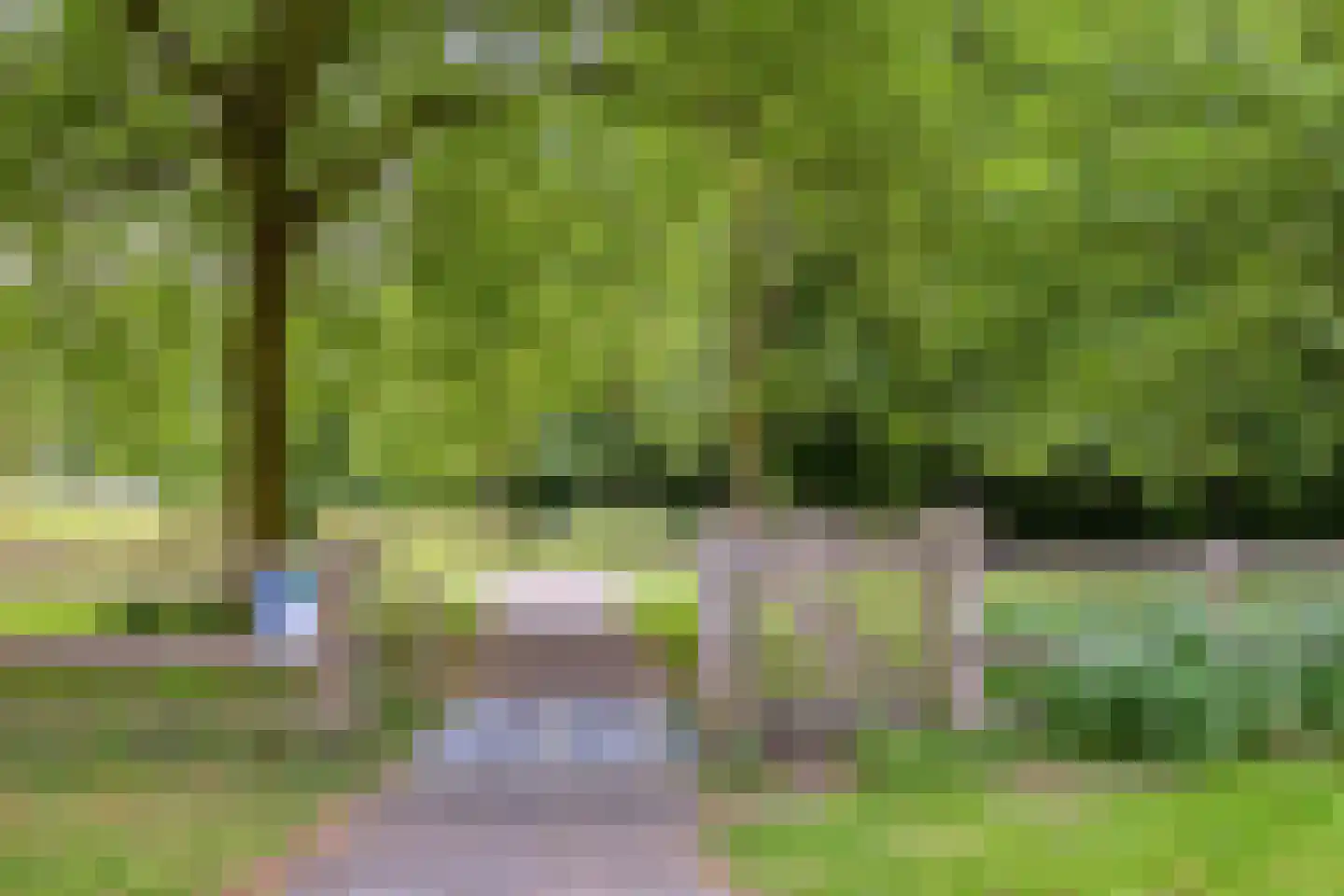 Koekoeksbloem 5 Zuidhorn thumbnail 44