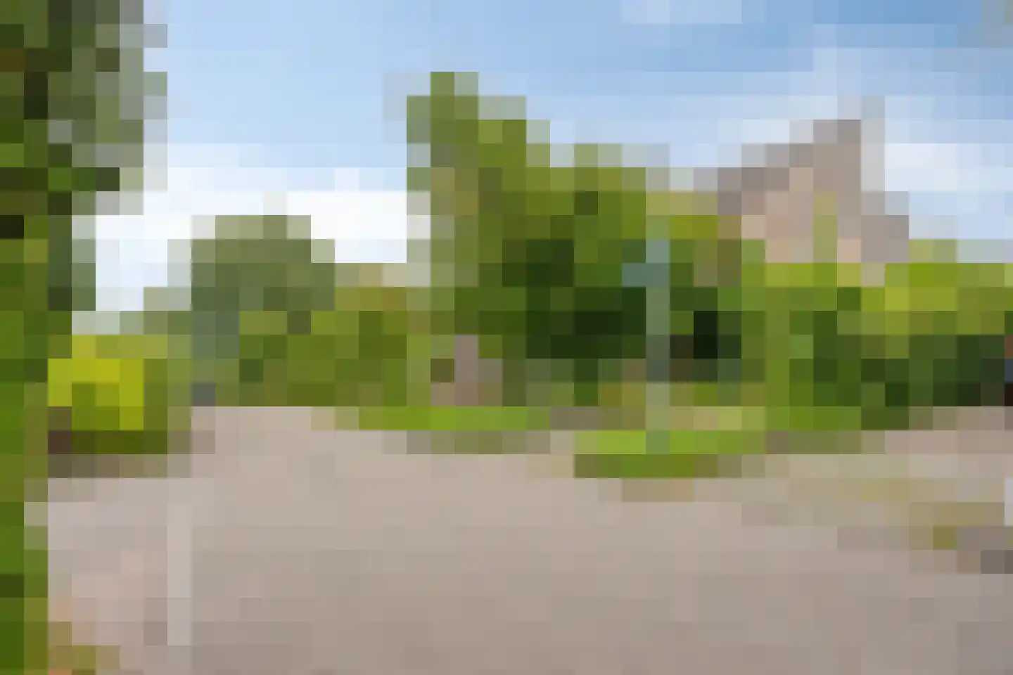 Koekoeksbloem 5 Zuidhorn thumbnail 46