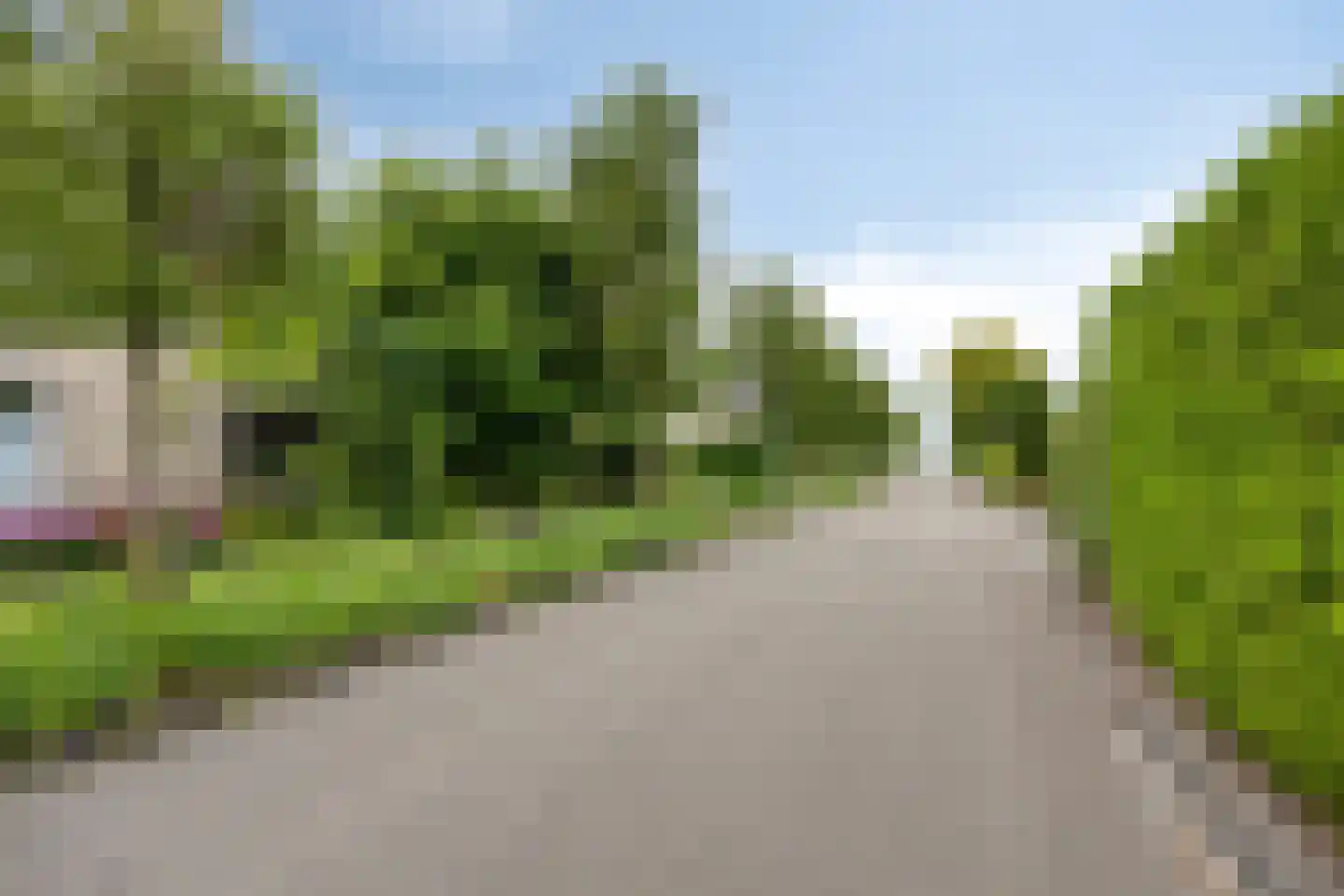 Koekoeksbloem 5 Zuidhorn thumbnail 47