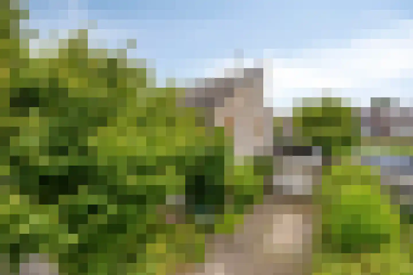 Koekoeksbloem 5 Zuidhorn thumbnail 48