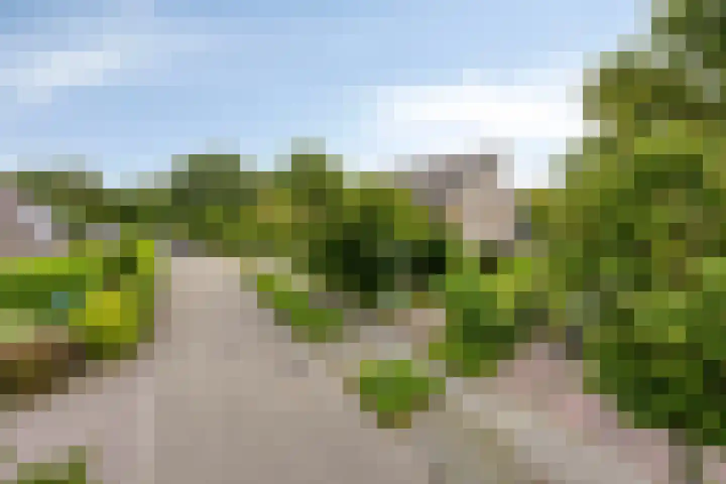 Koekoeksbloem 5 Zuidhorn thumbnail 5
