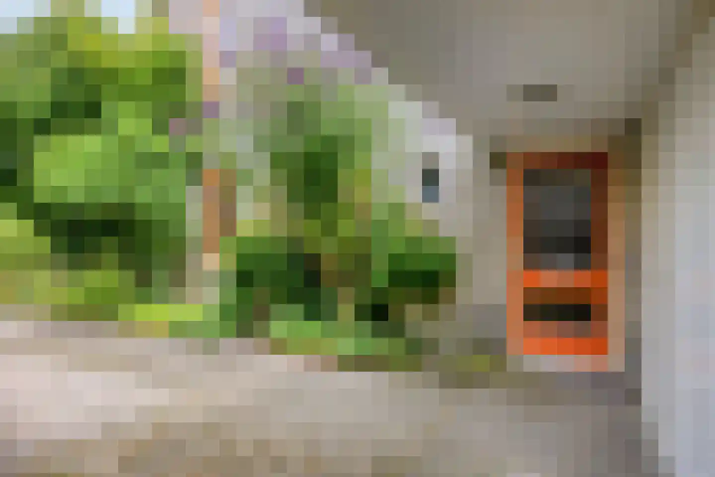 Koekoeksbloem 5 Zuidhorn thumbnail 7