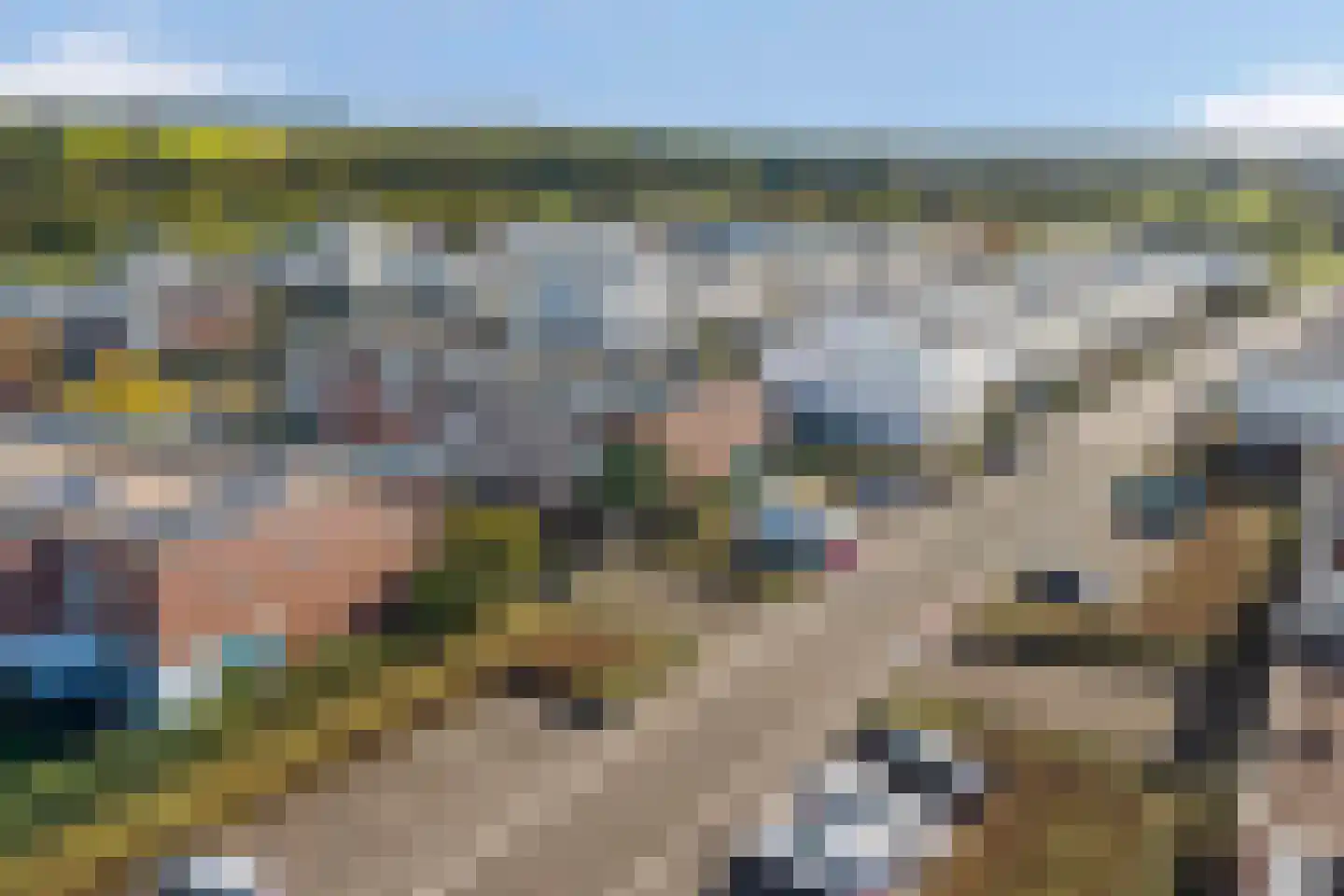 Koekoeksbloem 58 Eijsden thumbnail 26