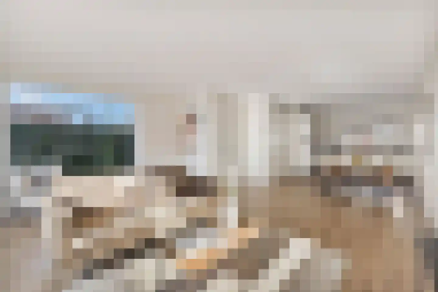 Koekoeksbloem 58 Eijsden thumbnail 4