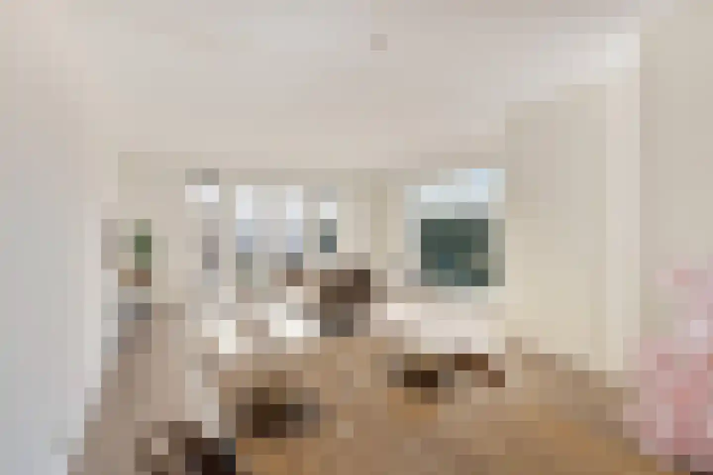 Koekoeksbloem 58 Eijsden thumbnail 6