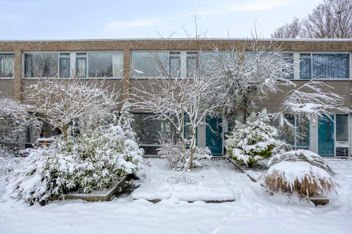 Koekoeksbloem 6 in Uithoorn