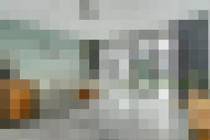 Koekoeksbloem 6 Dongen thumbnail 10
