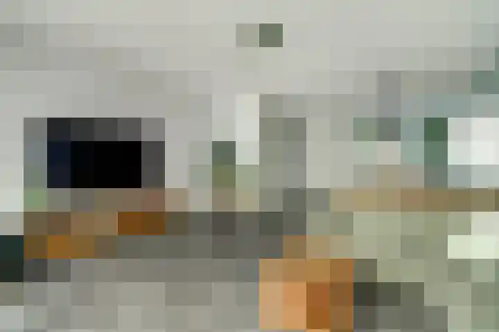 Koekoeksbloem 6 Dongen thumbnail 12