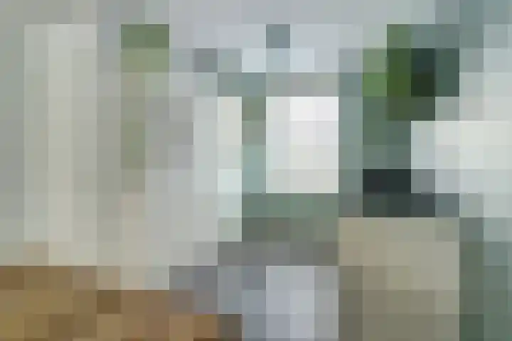 Koekoeksbloem 6 Dongen thumbnail 14