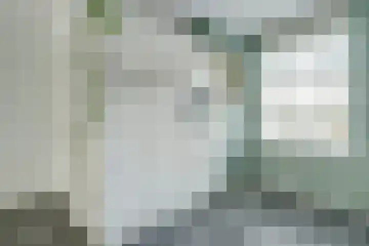 Koekoeksbloem 6 Dongen thumbnail 16