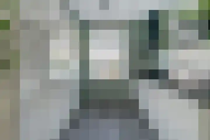 Koekoeksbloem 6 Dongen thumbnail 17