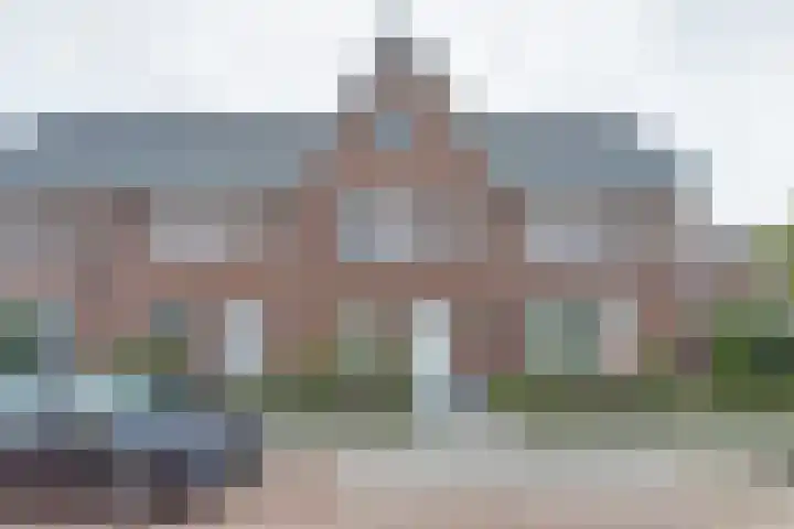 Koekoeksbloem 6 Dongen foto 2