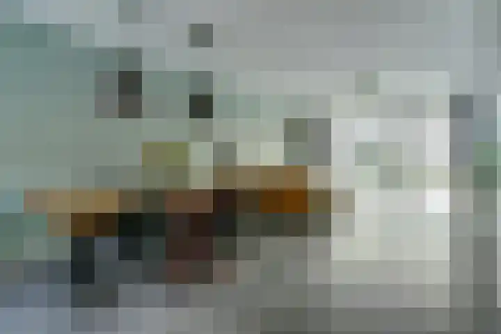Koekoeksbloem 6 Dongen thumbnail 20