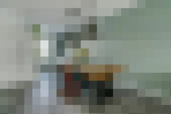 Koekoeksbloem 6 Dongen thumbnail 21