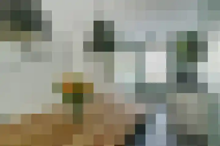 Koekoeksbloem 6 Dongen thumbnail 22