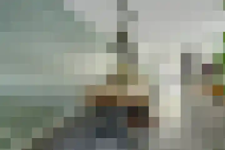 Koekoeksbloem 6 Dongen thumbnail 23