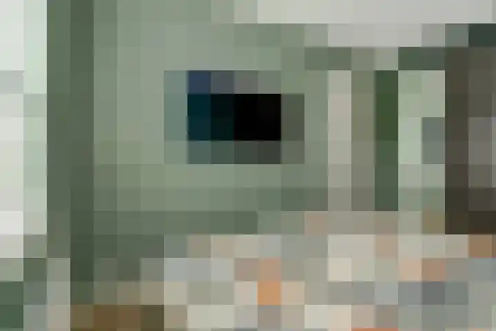 Koekoeksbloem 6 Dongen thumbnail 29