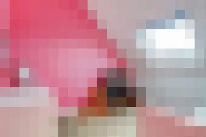 Koekoeksbloem 6 Dongen thumbnail 32