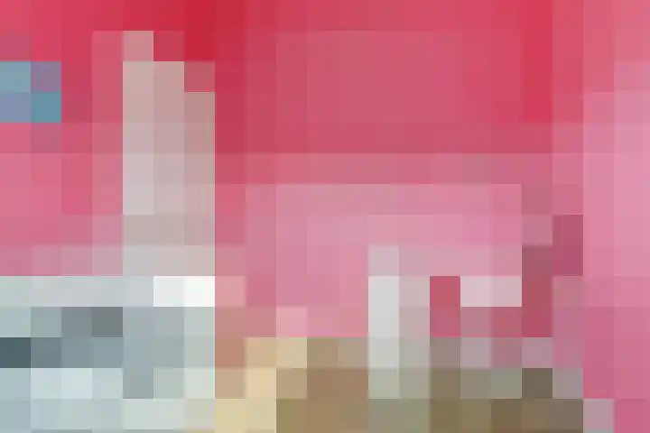 Koekoeksbloem 6 Dongen thumbnail 33